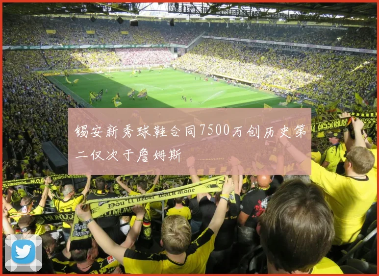 锡安新秀球鞋合同7500万创历史第二仅次于詹姆斯
