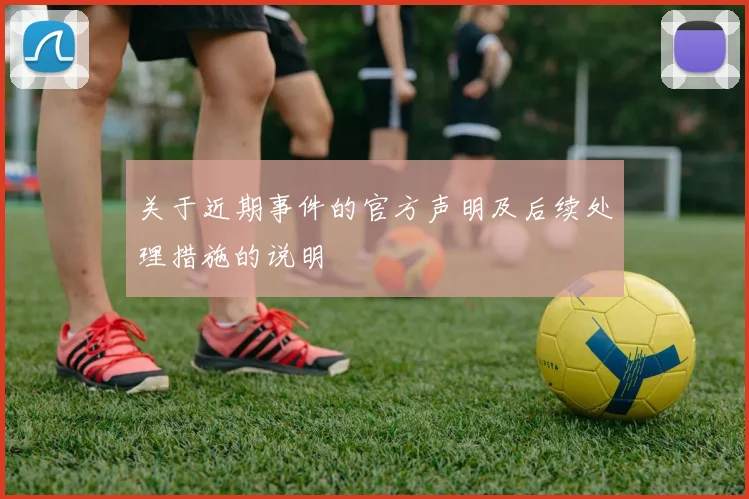 关于近期事件的官方声明及后续处理措施的说明